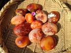 Polished Carnelian Agate Palm Stones x 12 From Madagascar - Toprock Gemstones and Minerals 