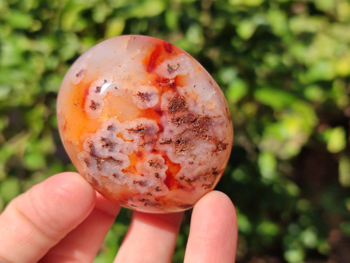 Polished Carnelian Agate Palm Stones x 12 From Madagascar - Toprock Gemstones and Minerals 
