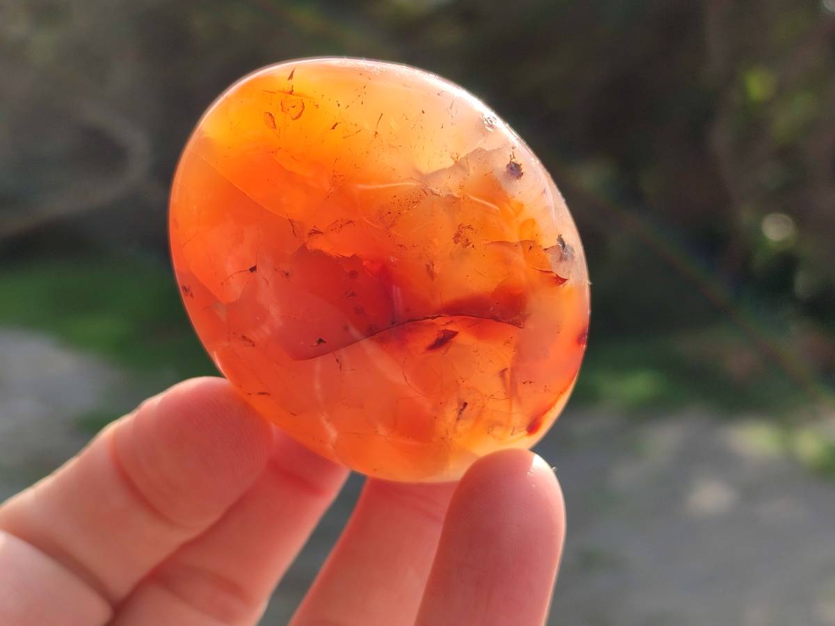 Polished Carnelian Agate Palm Stones x 12 From Madagascar - Toprock Gemstones and Minerals 