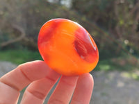 Polished Carnelian Agate Palm Stones x 12 From Madagascar - Toprock Gemstones and Minerals 