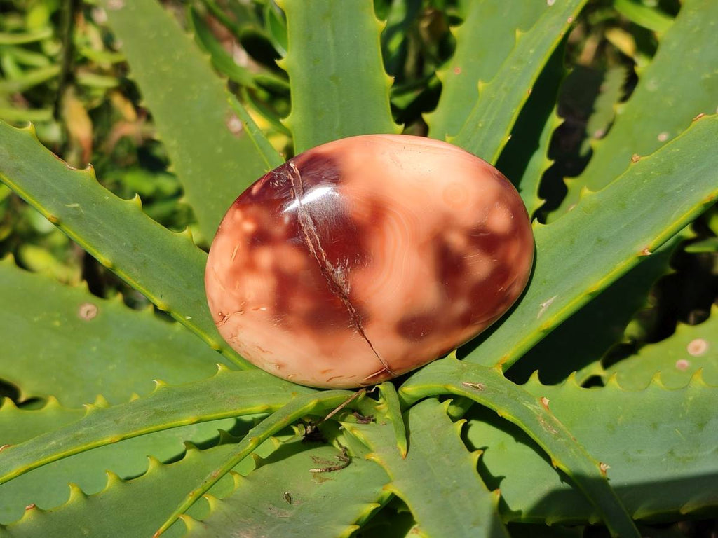 Polished Carnelian Agate Palm Stones x 12 From Madagascar - Toprock Gemstones and Minerals 