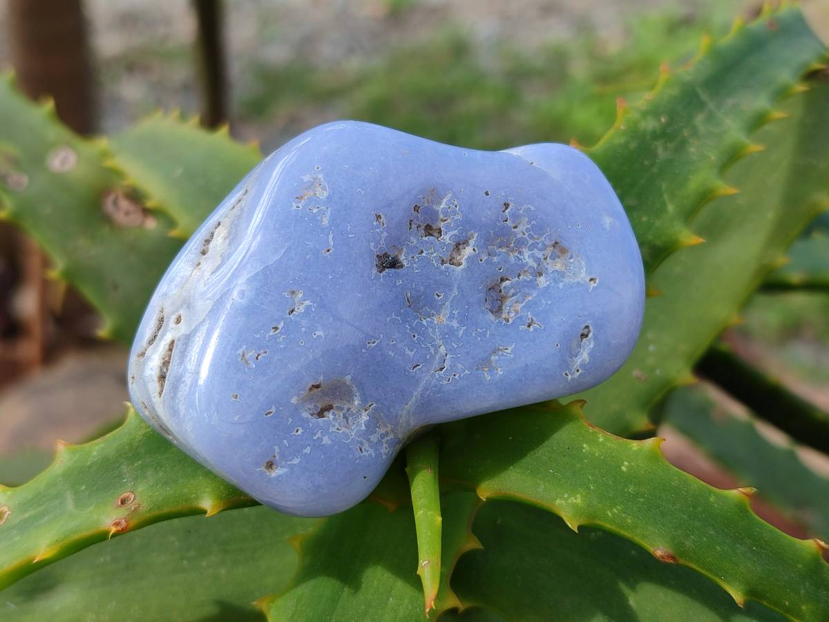 Polished Blue Lace Agate Tumbled Stones x 20 From Nsanje, Malawi - Toprock Gemstones and Minerals 