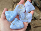 Polished Blue Lace Agate Tumbled Stones x 20 From Nsanje, Malawi - Toprock Gemstones and Minerals 