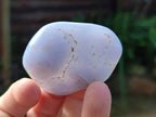 Polished Blue Lace Agate Tumbled Stones x 20 From Nsanje, Malawi - Toprock Gemstones and Minerals 