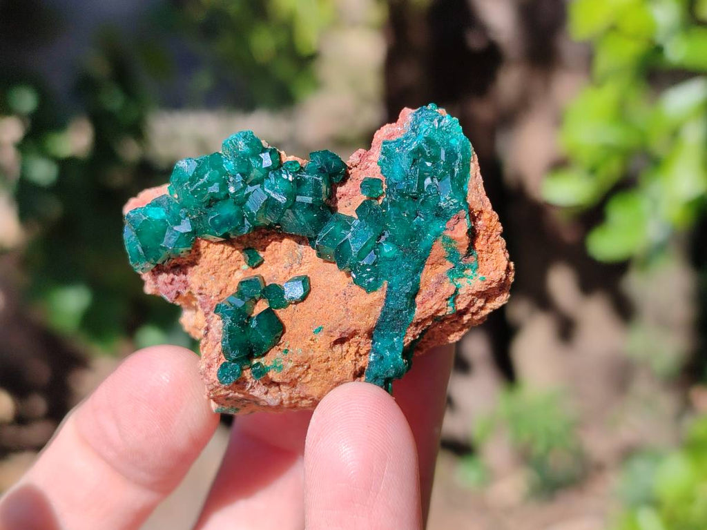 Natural Dioptase Crystals with Malachite on Dolomite Matrix Specimens x 6 From Likasi, Congo - Toprock Gemstones and Minerals 