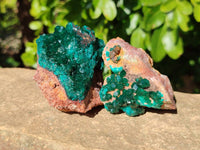 Natural Dioptase Crystals with Malachite on Dolomite Matrix Specimens x 6 From Likasi, Congo - Toprock Gemstones and Minerals 