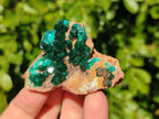 Natural Dioptase Crystals with Malachite on Dolomite Matrix Specimens x 6 From Likasi, Congo - Toprock Gemstones and Minerals 