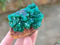 Natural Dioptase Crystals with Malachite on Dolomite Matrix Specimens x 6 From Likasi, Congo - Toprock Gemstones and Minerals 
