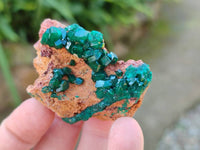Natural Dioptase Crystals with Malachite on Dolomite Matrix Specimens x 6 From Likasi, Congo - Toprock Gemstones and Minerals 