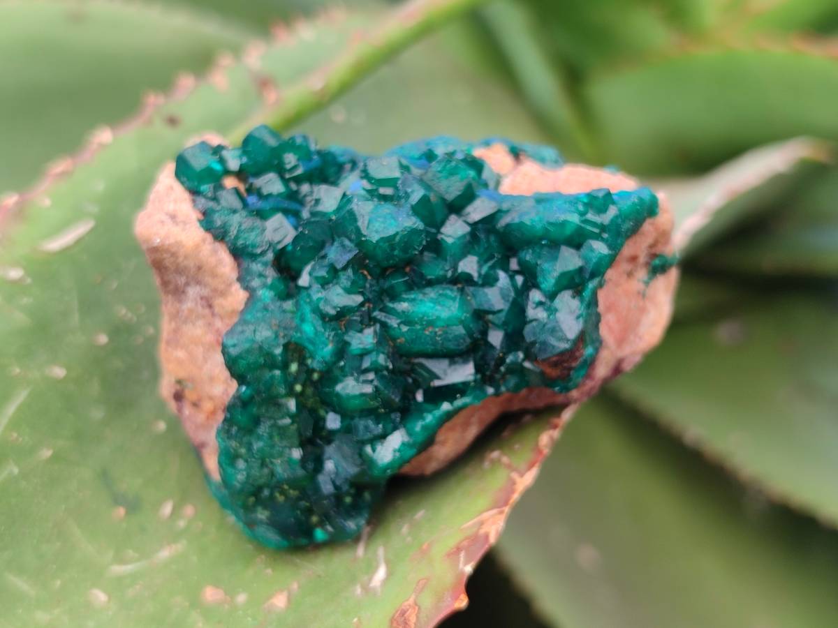 Natural Dioptase Crystals with Malachite on Dolomite Matrix Specimens x 6 From Likasi, Congo - Toprock Gemstones and Minerals 