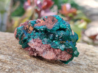 Natural Dioptase Crystals with Malachite on Dolomite Matrix Specimens x 6 From Likasi, Congo - Toprock Gemstones and Minerals 