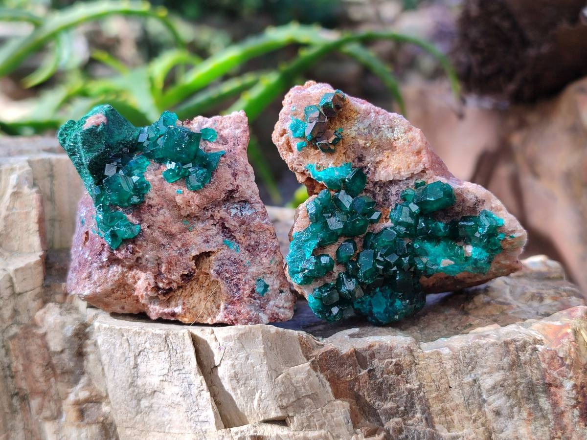 Natural Dioptase Crystals with Malachite on Dolomite Matrix Specimens x 6 From Likasi, Congo - Toprock Gemstones and Minerals 