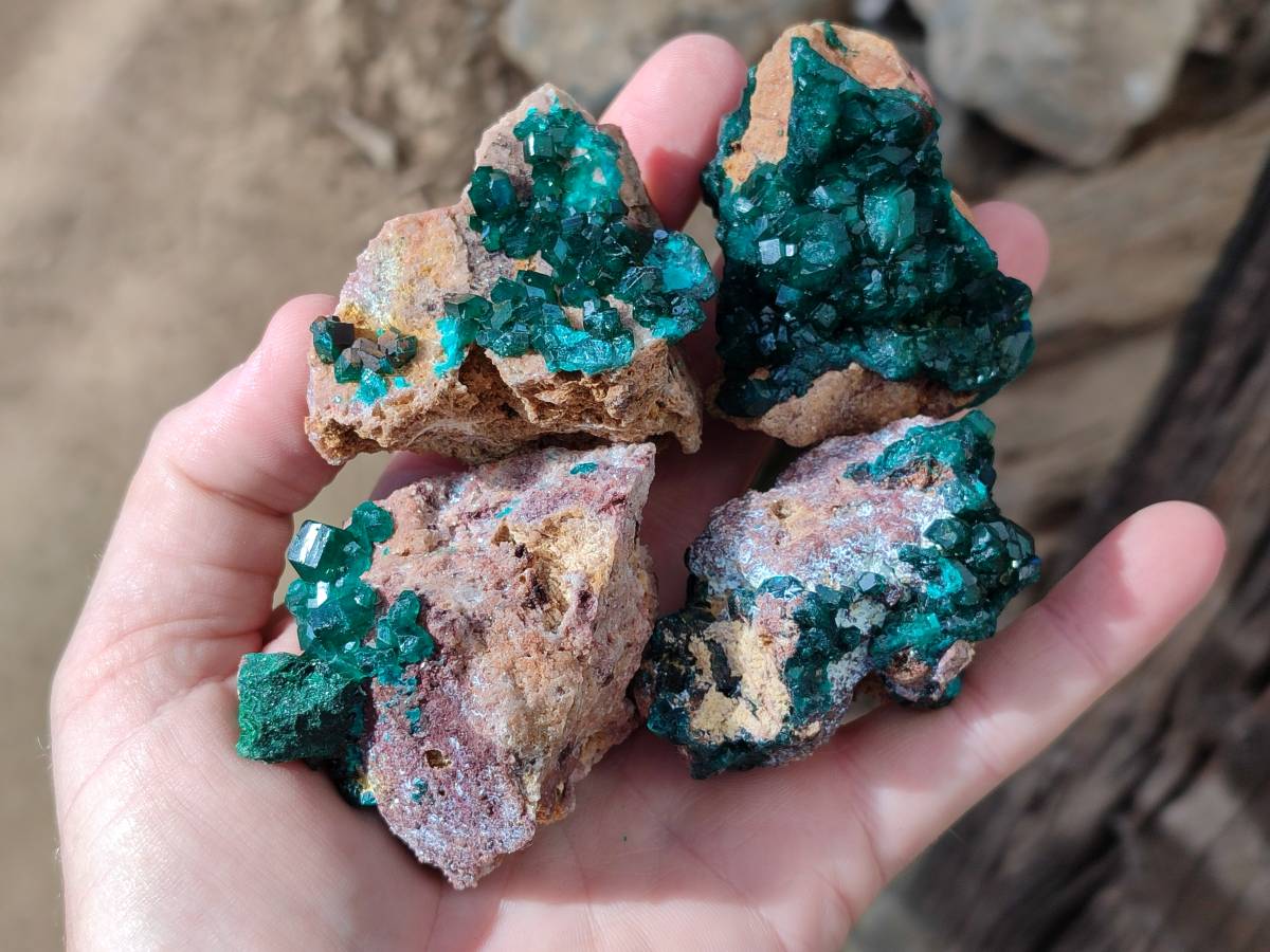 Natural Dioptase Crystals with Malachite on Dolomite Matrix Specimens x 6 From Likasi, Congo - Toprock Gemstones and Minerals 