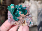 Natural Dioptase Crystals with Malachite on Dolomite Matrix Specimens x 6 From Likasi, Congo - Toprock Gemstones and Minerals 