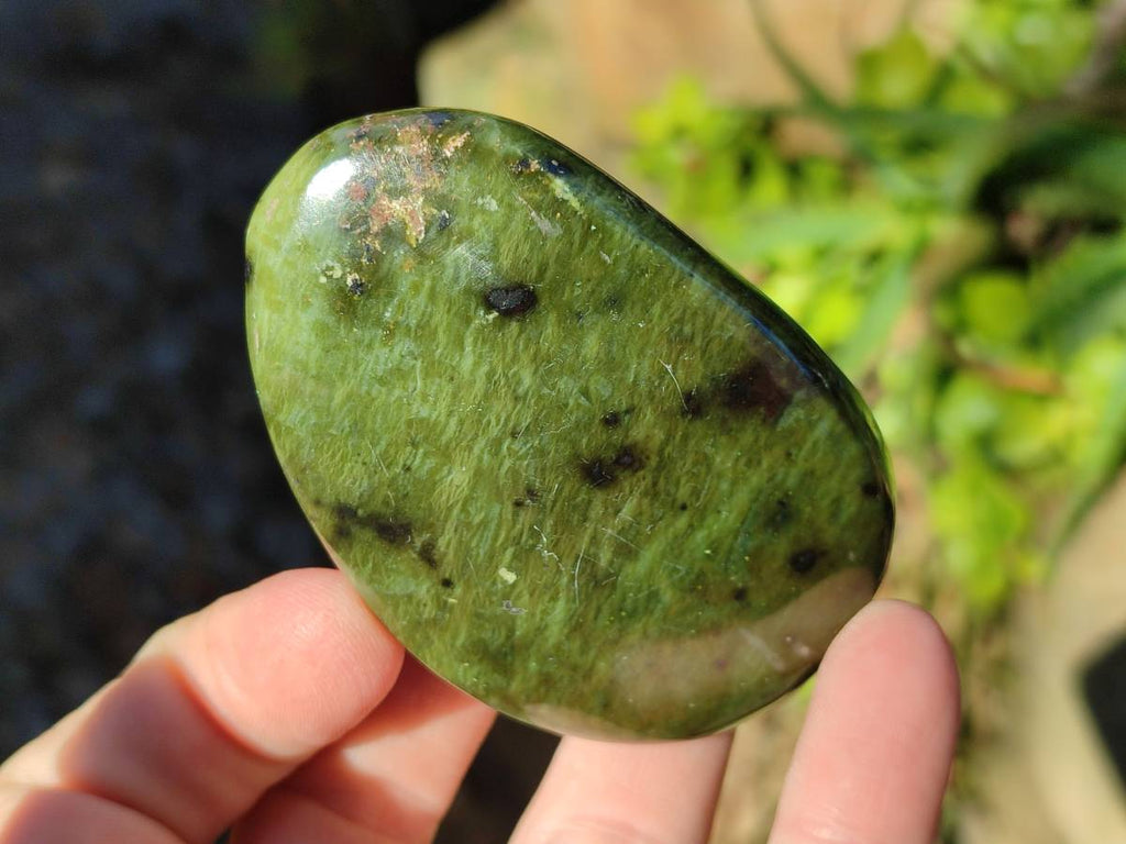 Polished Selected Large Leopard Stone Palm Stones x 9 From Nyanga, Zimbabwe - Toprock Gemstones and Minerals 