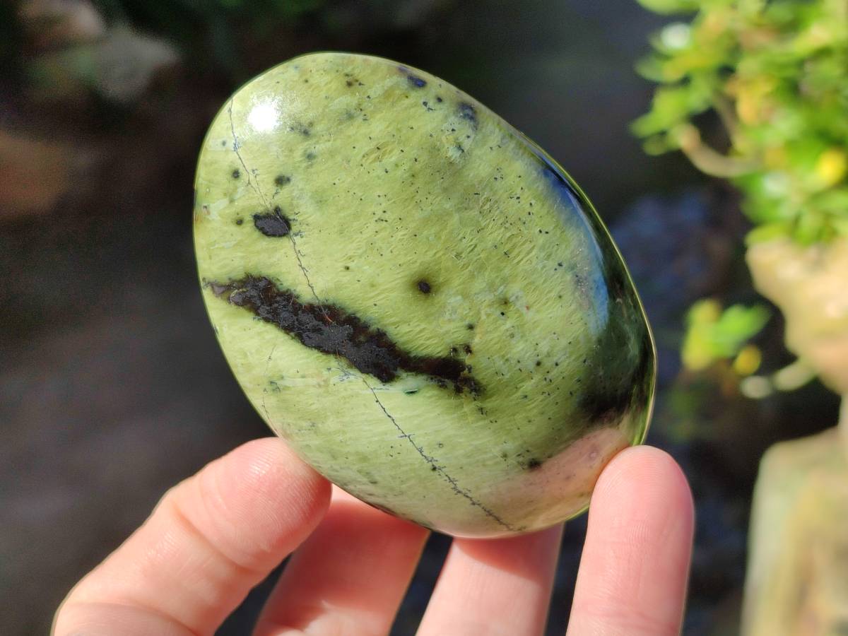 Polished Selected Large Leopard Stone Palm Stones x 9 From Nyanga, Zimbabwe - Toprock Gemstones and Minerals 