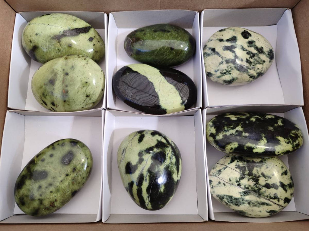 Polished Selected Large Leopard Stone Palm Stones x 9 From Nyanga, Zimbabwe - Toprock Gemstones and Minerals 