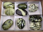 Polished Selected Large Leopard Stone Palm Stones x 9 From Nyanga, Zimbabwe - Toprock Gemstones and Minerals 