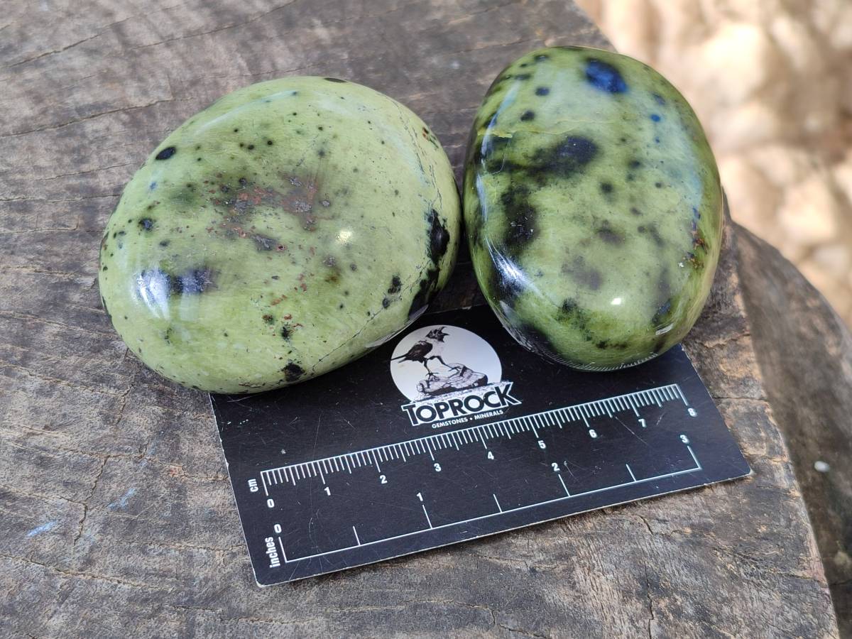 Polished Selected Large Leopard Stone Palm Stones x 9 From Nyanga, Zimbabwe - Toprock Gemstones and Minerals 