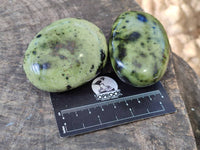 Polished Selected Large Leopard Stone Palm Stones x 9 From Nyanga, Zimbabwe - Toprock Gemstones and Minerals 