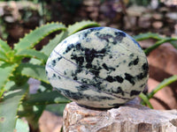 Polished Selected Large Leopard Stone Palm Stones x 9 From Nyanga, Zimbabwe - Toprock Gemstones and Minerals 