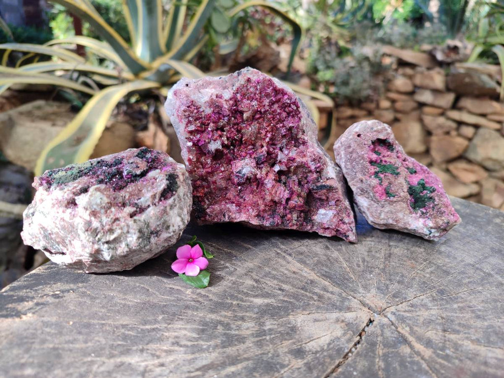 Natural Drusy Salrose on Dolomite Matrix Specimens x 3 From Kakanda, Congo - Toprock Gemstones and Minerals 