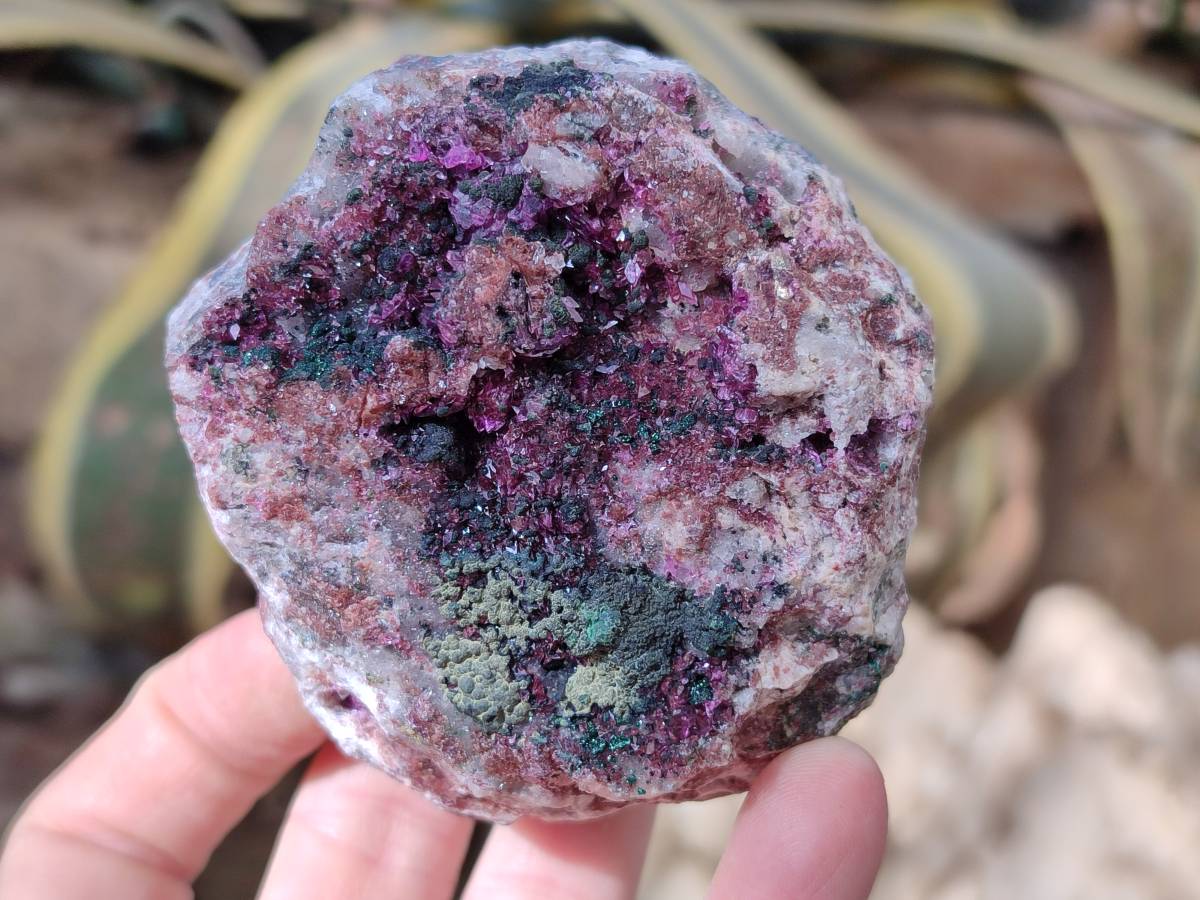 Natural Drusy Salrose on Dolomite Matrix Specimens x 3 From Kakanda, Congo - Toprock Gemstones and Minerals 