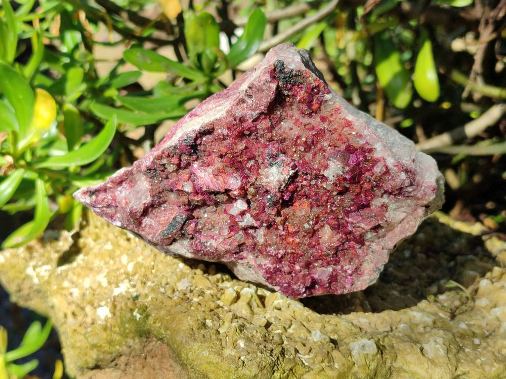 Natural Drusy Salrose on Dolomite Matrix Specimens x 3 From Kakanda, Congo - Toprock Gemstones and Minerals 