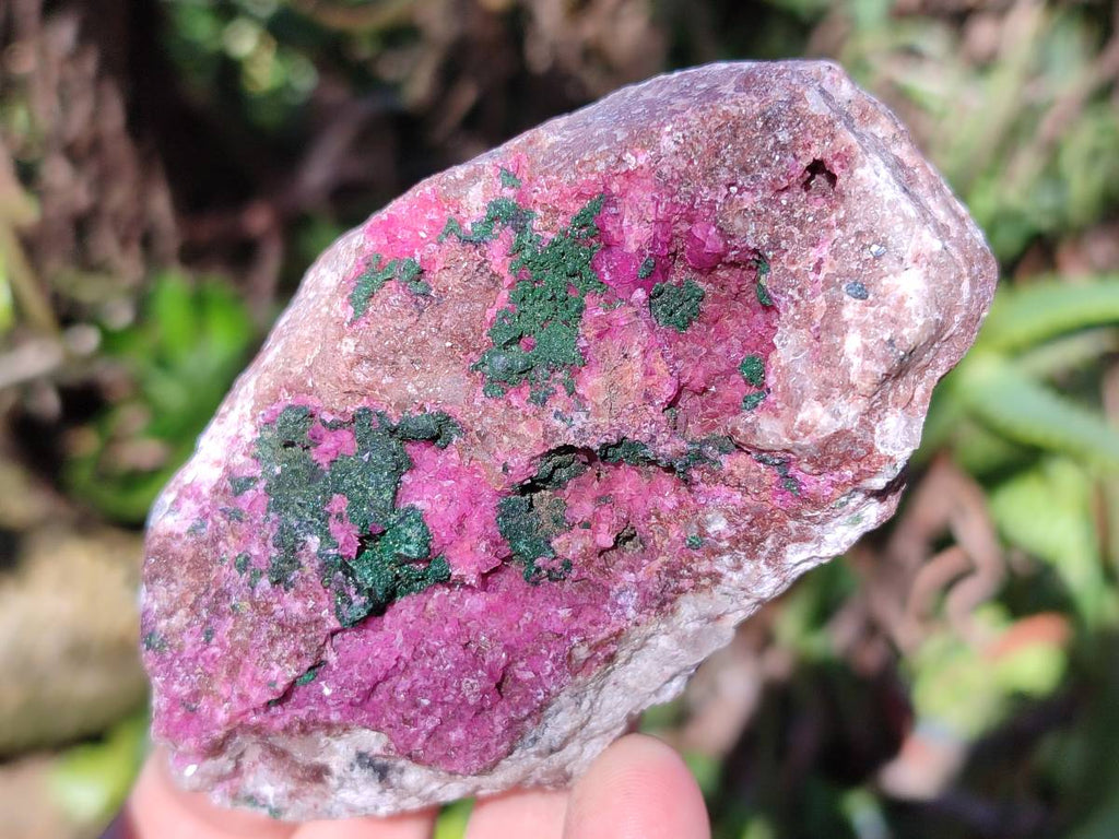 Natural Drusy Salrose on Dolomite Matrix Specimens x 3 From Kakanda, Congo - Toprock Gemstones and Minerals 