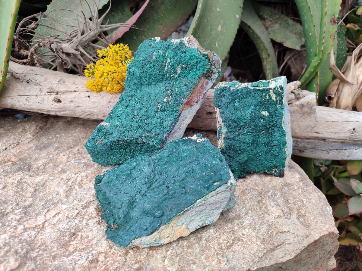 Natural Crystalline Malachite Specimens x 3 From Tenke Fungurume, Congo - Toprock Gemstones and Minerals 