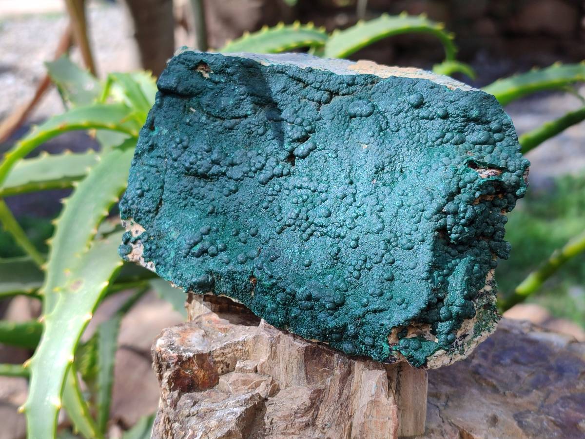 Natural Crystalline Malachite Specimens x 3 From Tenke Fungurume, Congo - Toprock Gemstones and Minerals 