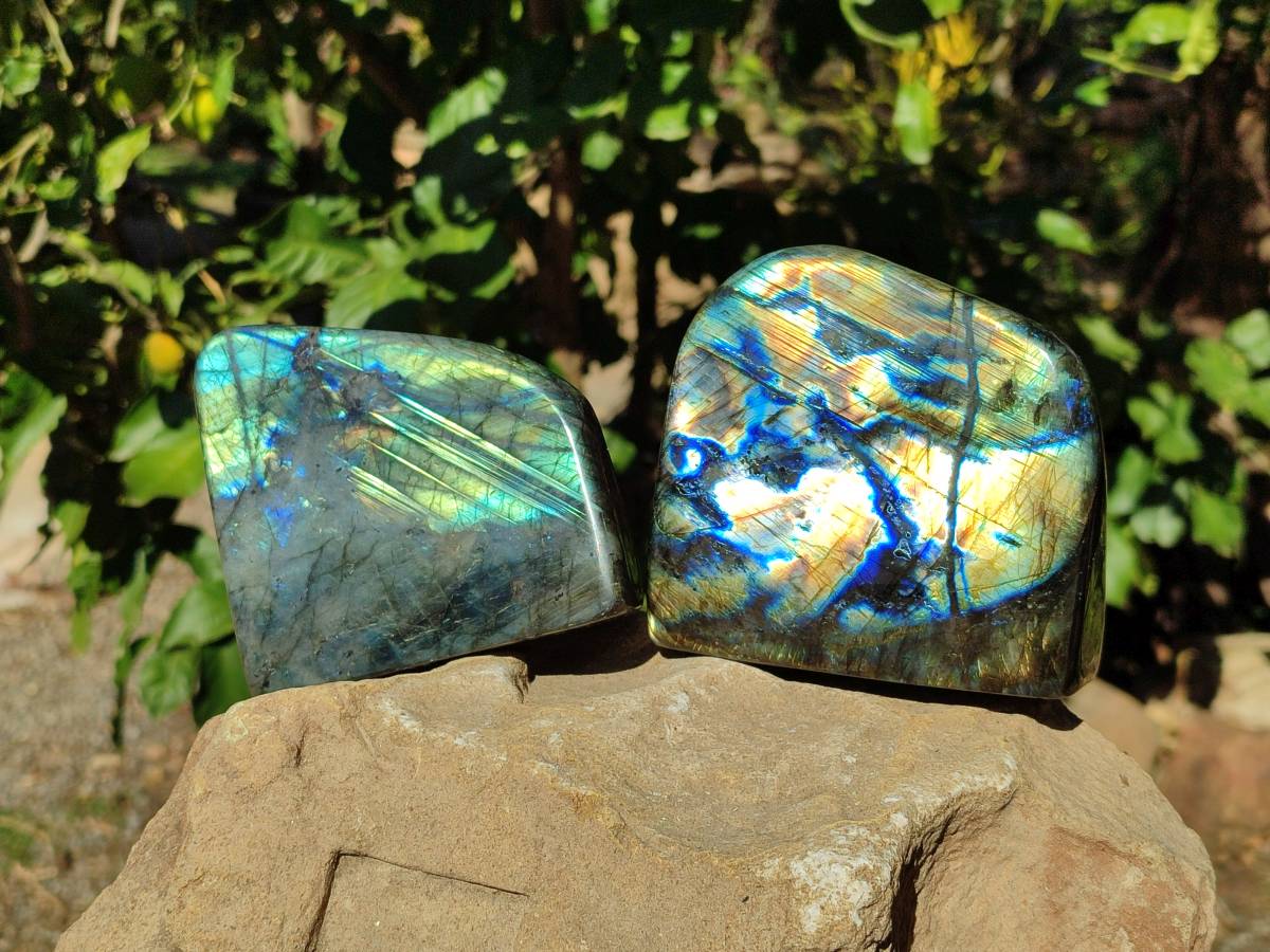 Polished Labradorite Standing Free Forms x 2 From Tulear, Madagascar - Toprock Gemstones and Minerals 