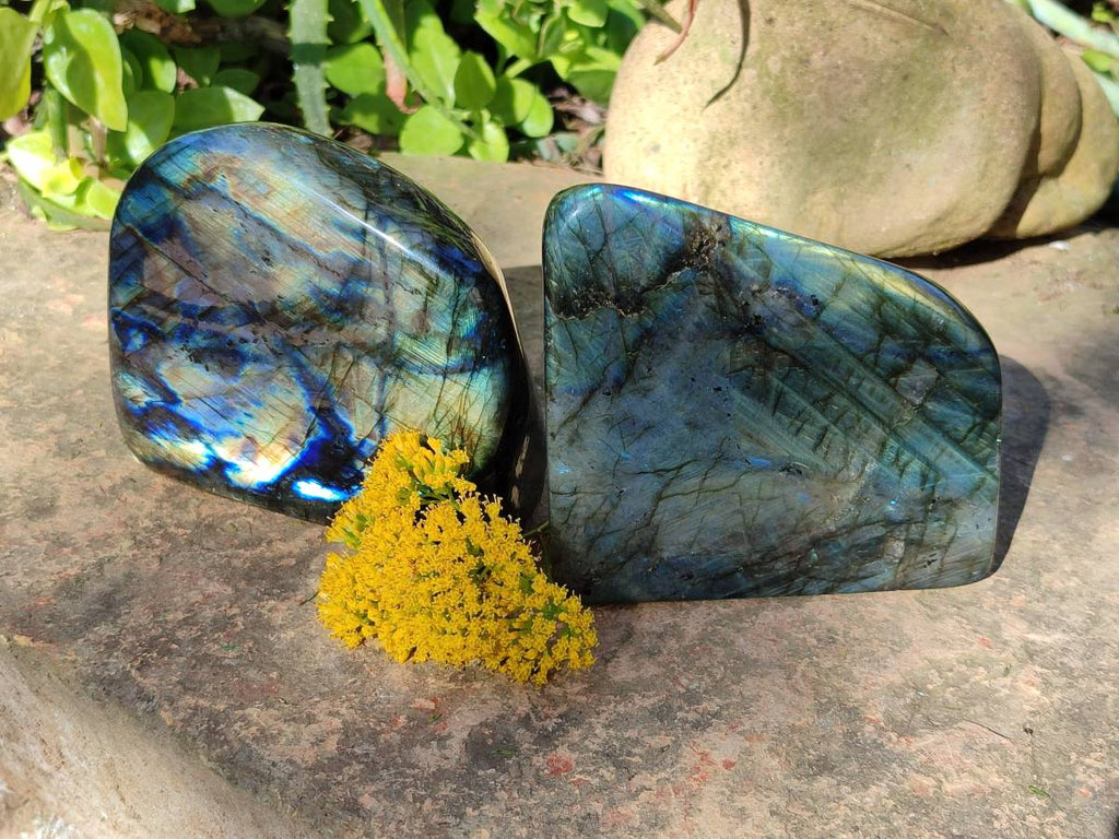 Polished Labradorite Standing Free Forms x 2 From Tulear, Madagascar - Toprock Gemstones and Minerals 