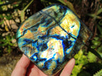 Polished Labradorite Standing Free Forms x 2 From Tulear, Madagascar - Toprock Gemstones and Minerals 