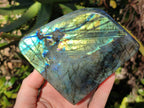 Polished Labradorite Standing Free Forms x 2 From Tulear, Madagascar - Toprock Gemstones and Minerals 