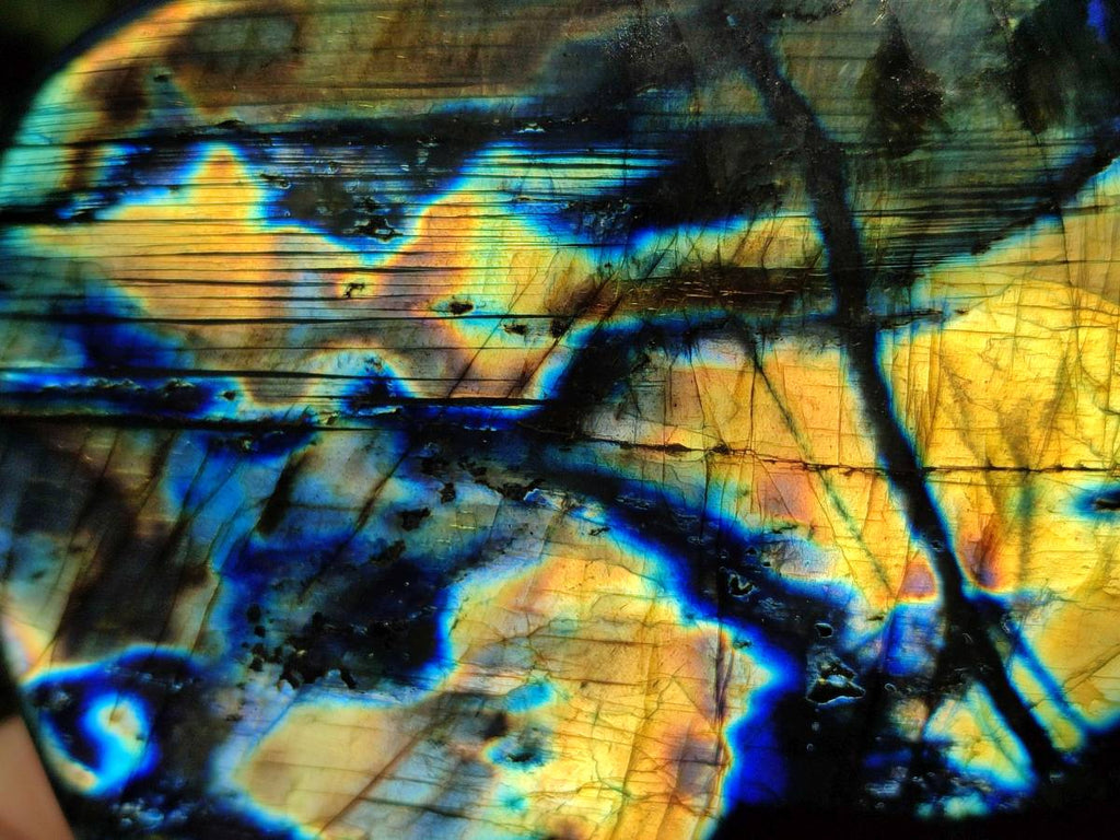 Polished Labradorite Standing Free Forms x 2 From Tulear, Madagascar - Toprock Gemstones and Minerals 