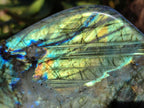 Polished Labradorite Standing Free Forms x 2 From Tulear, Madagascar - Toprock Gemstones and Minerals 