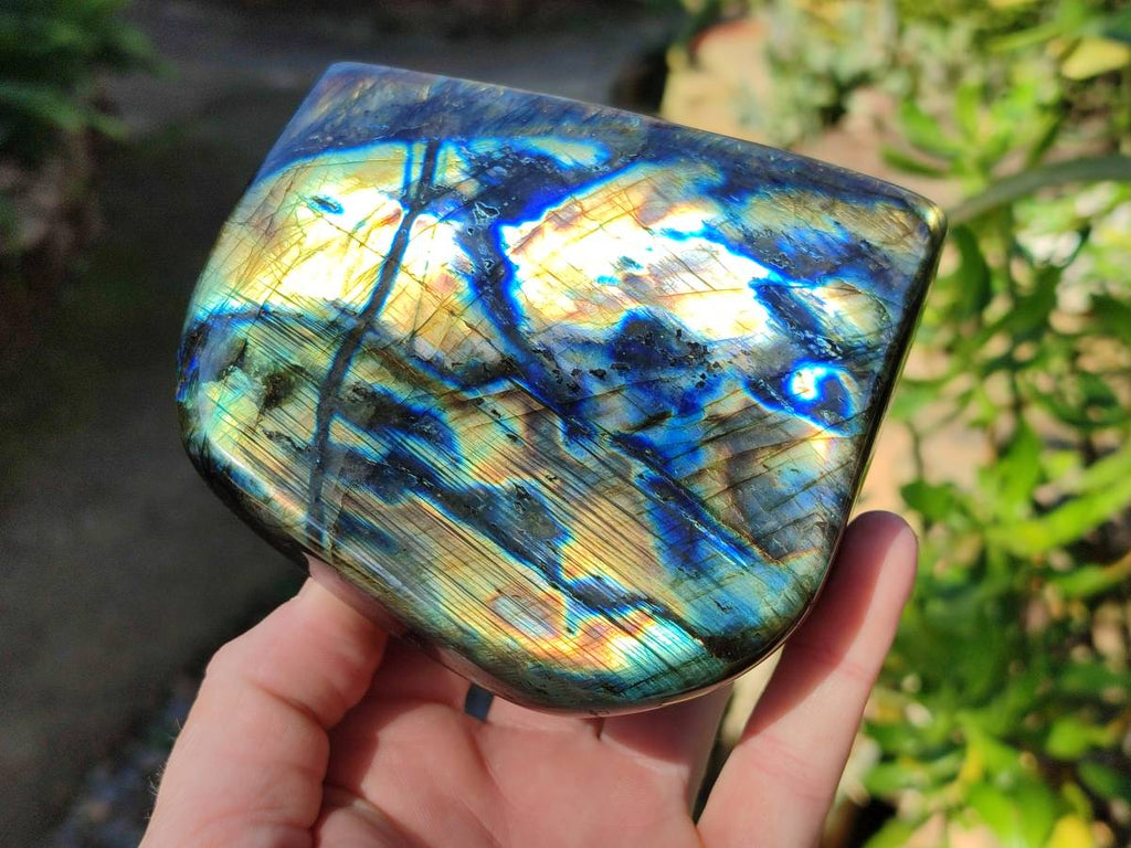 Polished Labradorite Standing Free Forms x 2 From Tulear, Madagascar - Toprock Gemstones and Minerals 