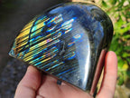Polished Labradorite Standing Free Forms x 2 From Tulear, Madagascar - Toprock Gemstones and Minerals 