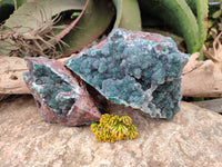 Natural Ball Malachite On Quartz Matrix Specimens x 2 From Kambove, Congo