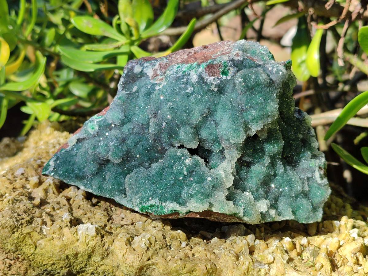 Natural Ball Malachite On Quartz Matrix Specimens x 2 From Kambove, Congo - Toprock Gemstones and Minerals 