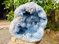 Natural Extra Large Celestite Geode Specimen x 1 From Sakoany, Madagascar - Toprock Gemstones and Minerals 