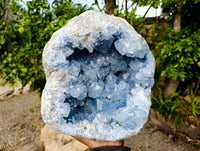Natural Extra Large Celestite Geode Specimen x 1 From Sakoany, Madagascar - Toprock Gemstones and Minerals 