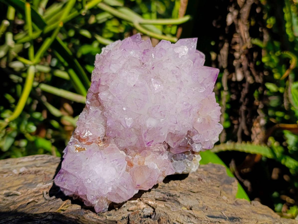 Natural Amethyst Spirit Quartz Clusters x 2 From Boekenhouthoek, South Africa - Toprock Gemstones and Minerals 