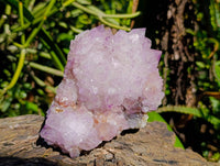 Natural Amethyst Spirit Quartz Clusters x 2 From Boekenhouthoek, South Africa