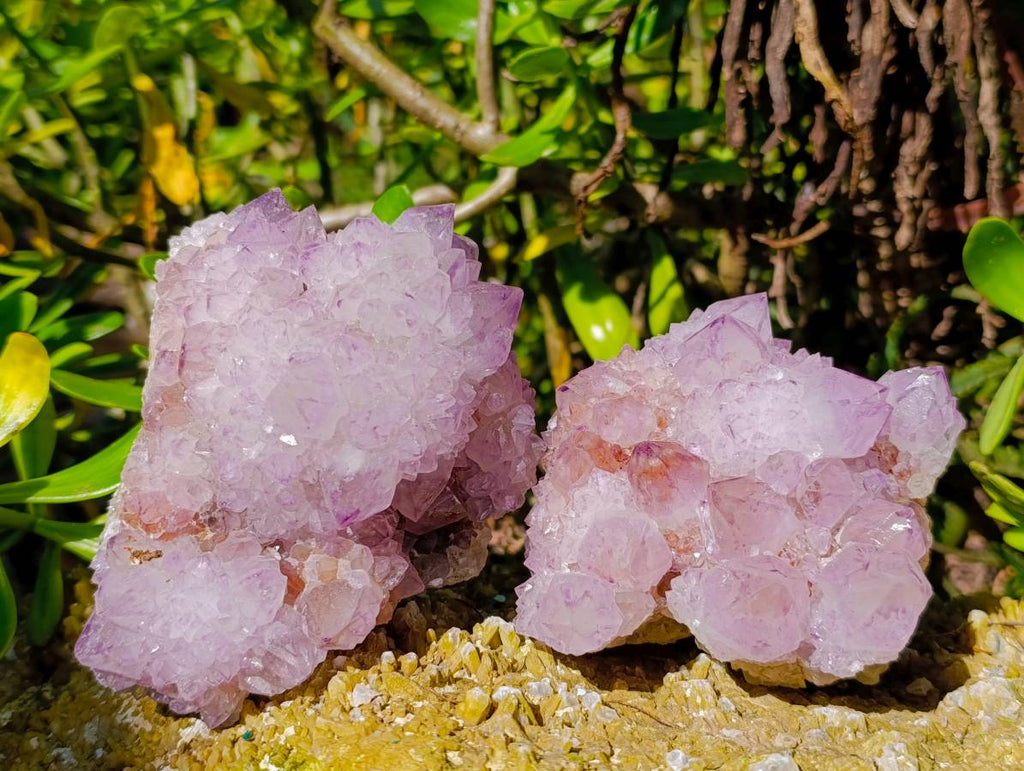 Natural Amethyst Spirit Quartz Clusters x 2 From Boekenhouthoek, South Africa - Toprock Gemstones and Minerals 