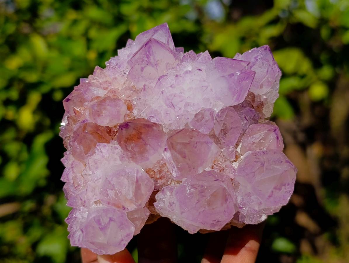 Natural Amethyst Spirit Quartz Clusters x 2 From Boekenhouthoek, South Africa - Toprock Gemstones and Minerals 