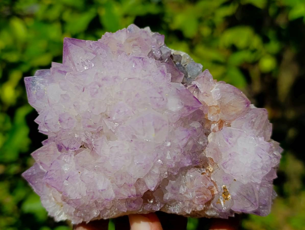 Natural Amethyst Spirit Quartz Clusters x 2 From Boekenhouthoek, South Africa - Toprock Gemstones and Minerals 