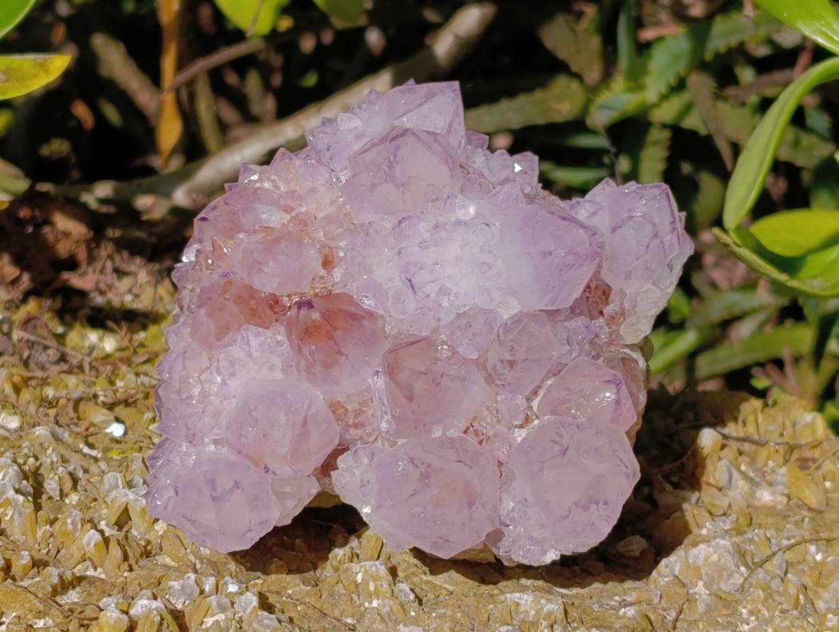 Natural Amethyst Spirit Quartz Clusters x 2 From Boekenhouthoek, South Africa - Toprock Gemstones and Minerals 
