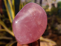 Polished Star Rose Quartz Standing Free Forms x 4 Ambatondrazaka, Madagascar - Toprock Gemstones and Minerals 